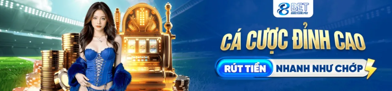 Hình ảnh minh họa chính sách quyền riêng tư của ta28 code, bảo vệ dữ liệu an toàn